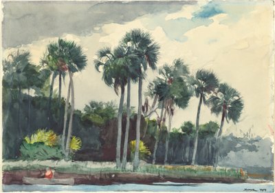 Camisa roja, Homosassa, Florida de Winslow Homer