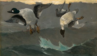 Derecha e izquierda de Winslow Homer