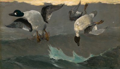 Derecha e izquierda de Winslow Homer