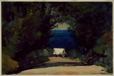 Carretera en Bermudas, c.1899-1901 (acuarela sobre papel) de Winslow Homer