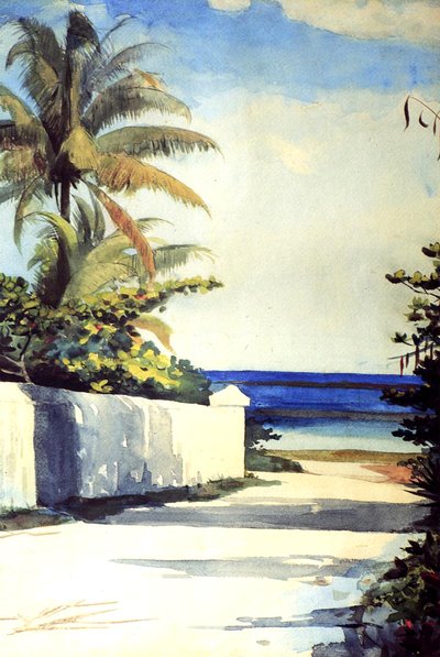 Camino en Nassau, 1898-99 de Winslow Homer