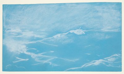 Gaviota y olas de Winslow Homer