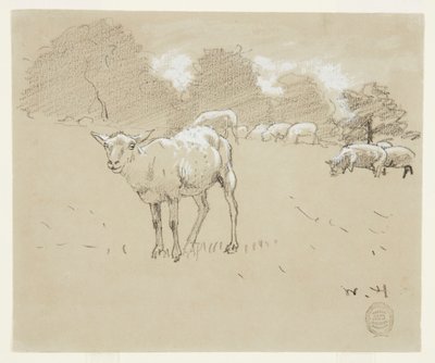 Ovejas pastando en un campo de Winslow Homer