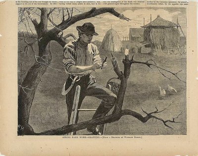 Trabajos agrícolas de primavera de Winslow Homer