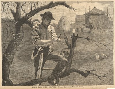 Trabajo agrícola de primavera de Winslow Homer