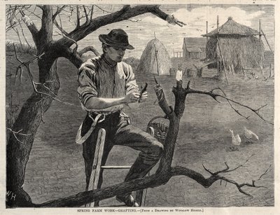 Trabajo de granja en primavera - Injerto de Winslow Homer