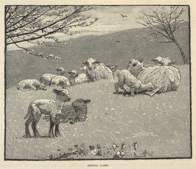 Spring Lamb, de Scribner