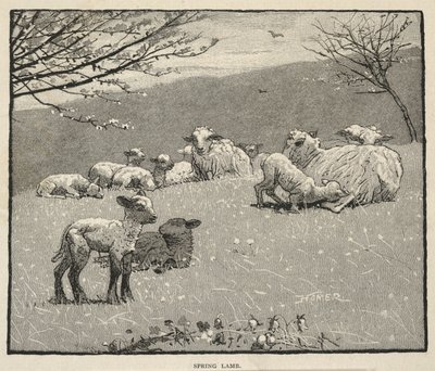  de Winslow Homer