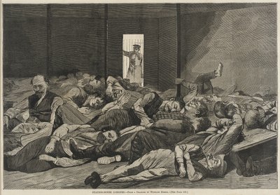  de Winslow Homer