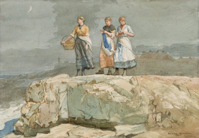 Los acantilados de Winslow Homer