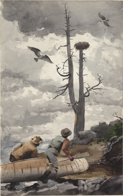 El Nido del Águila de Winslow Homer