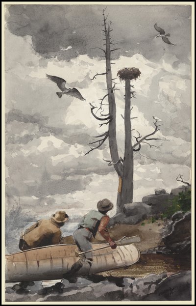 El nido del águila, 1902 de Winslow Homer