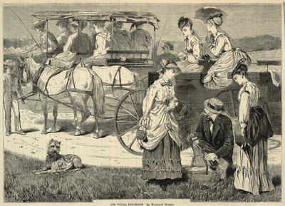 The Picnic Excursion, de Appletons