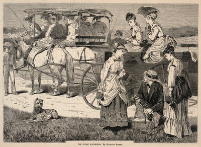 The Picnic Excursion, de Appletons