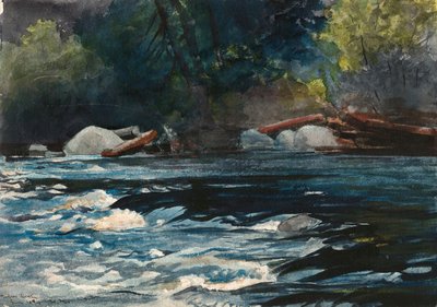 Los rápidos, río Hudson, Adirondacks de Winslow Homer