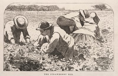 La cama de fresas de Winslow Homer