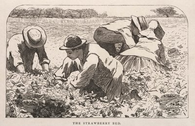 La cama de fresas, 1868 de Winslow Homer
