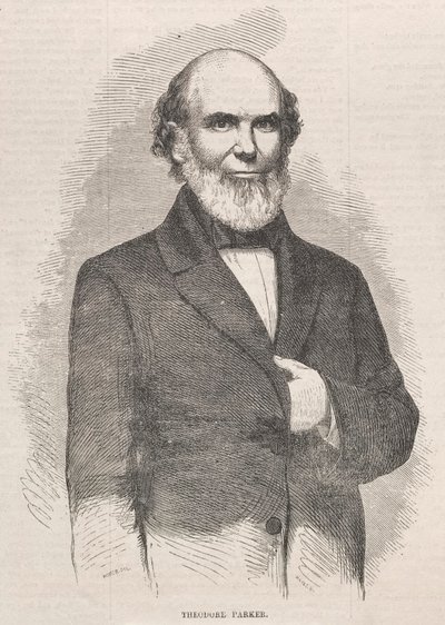 Theodore Parker de Winslow Homer