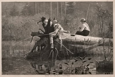 A la espera de un bocado de Winslow Homer