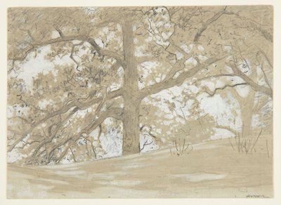 Waverly Oaks de Winslow Homer