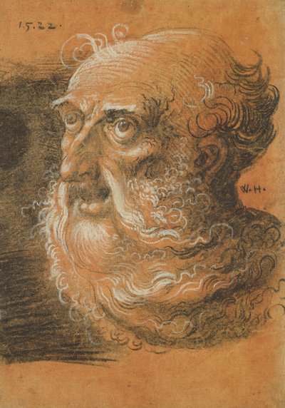 Estudio de cabeza, 1522 de Wolf Huber