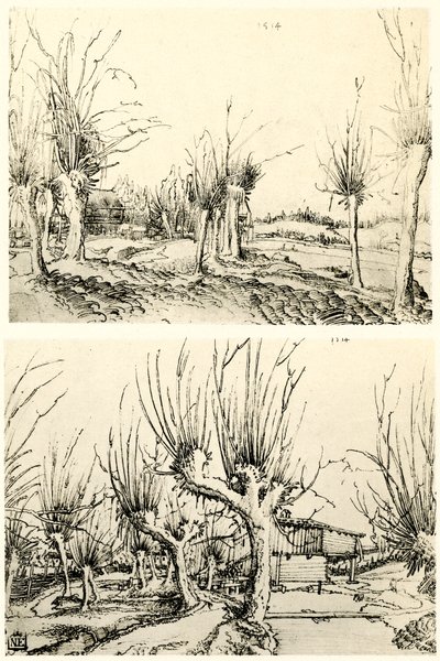 Paisajes con árboles de sauce de Wolf Huber