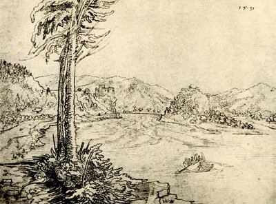 El remolino del Danubio en Grein de Wolf Huber