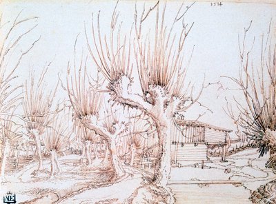 Plantación de sauces, 1514 de Wolf Huber
