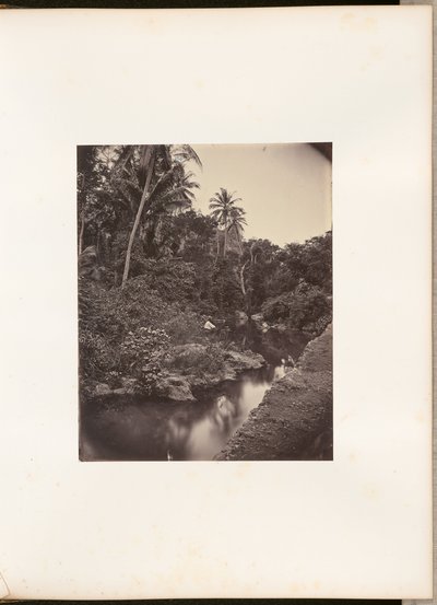 [Río en Kupang] de Woodbury and Page