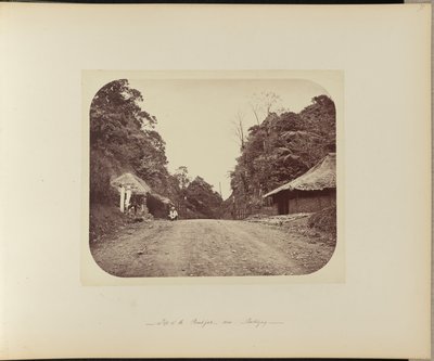 Cima del Poentjak, cerca de Buitenzorg de Woodbury and Page
