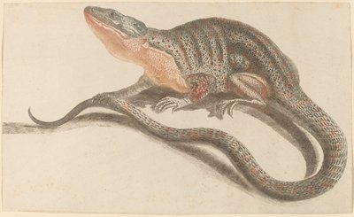 Lagarto de Workshop of Johann Teyler