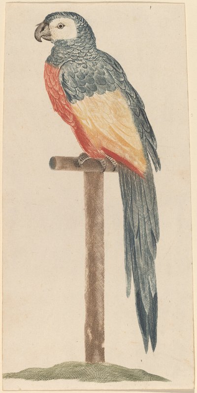 Loro, 1680s-1690s de Workshop of Johann Teyler