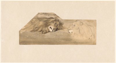 Estudios de dos leones de Wouter Johannes van Troostwijk