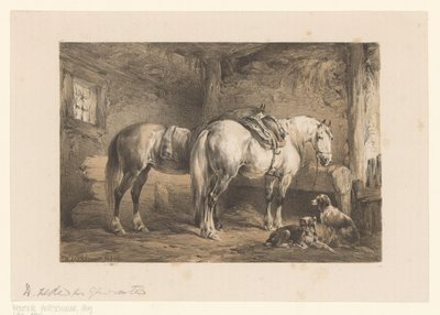 Dos caballos y perros en un establo de Wouter  Verschuur