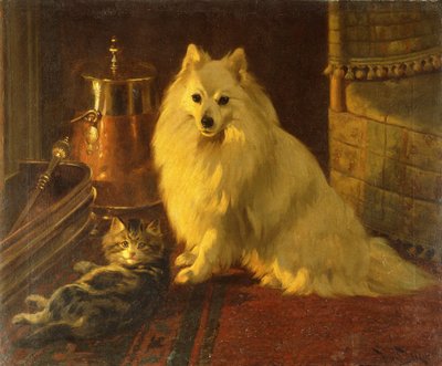 Mejores amigos de Wright Barker
