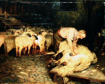 El Esquilador de Wright Barker