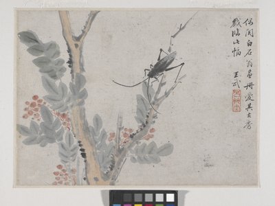Insecto y árbol según Shen Zhou (tinta y color sobre papel) de Wu Wang