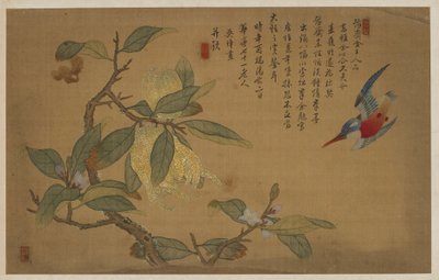 Pájaro, fruta y flores de Wu Zhang