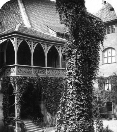 Árbol de lima en un patio, Núremberg, Baviera, Alemania, c. 1900s de Wurthle and Sons