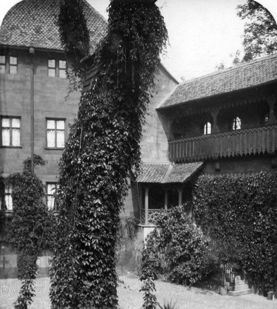 Árbol de tilo en un patio, Núremberg, Baviera, Alemania de Wurthle and Sons