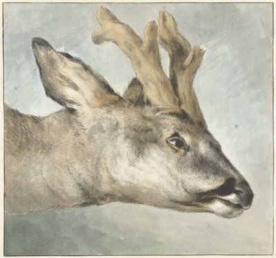 Cabeza de un Roebuck de Wybrand Hendriks