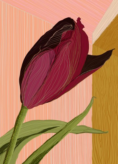 Rincón del Tulipán Carmesí de XHOZUCAN