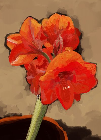 Vibrante flor de amarilis de XHOZUCAN
