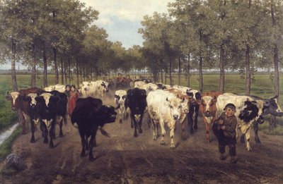 La Meersstraat de Gante de Xavier de Cock