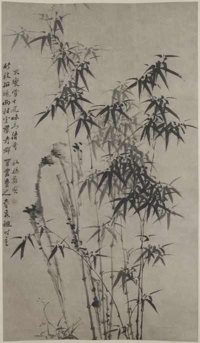 Bambú y rocas, c.1760 de Xie Zheng