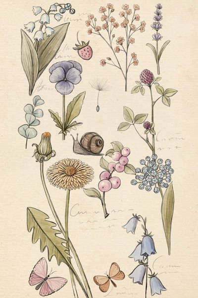 Dibujo de una planta de Xuan Thai