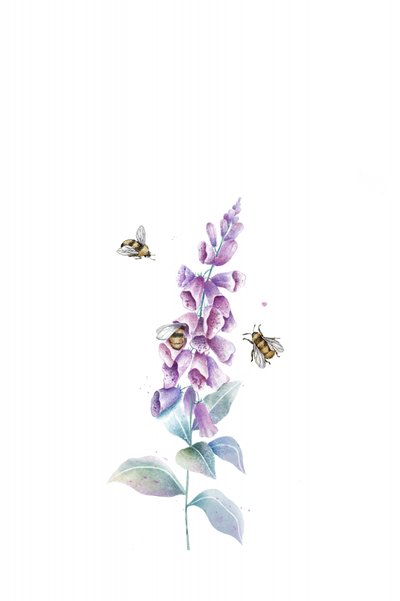 Abejas y flores en acuarela de Xuan Thai