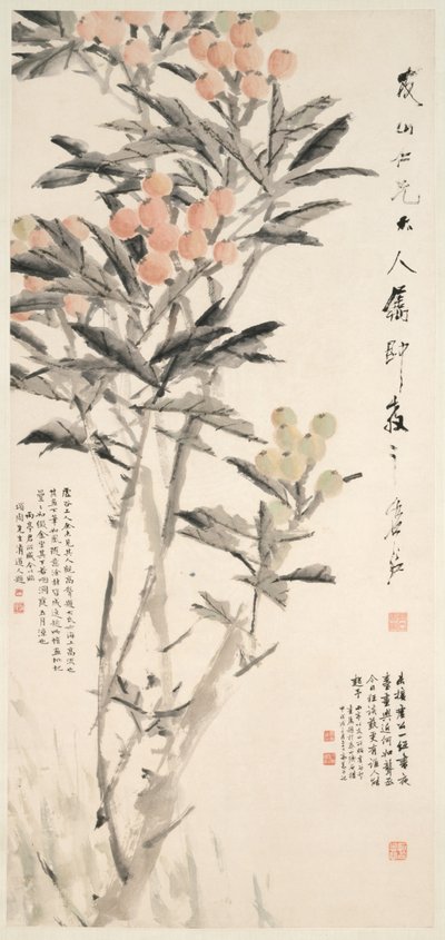Pipa Loquats, c. 1888-89 de Xugu