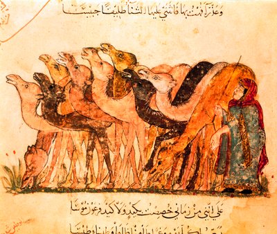 Un grupo de camellos y el pastor de camellos, de "Maqamat" de Yahya ibn Mahmud Al Wasiti