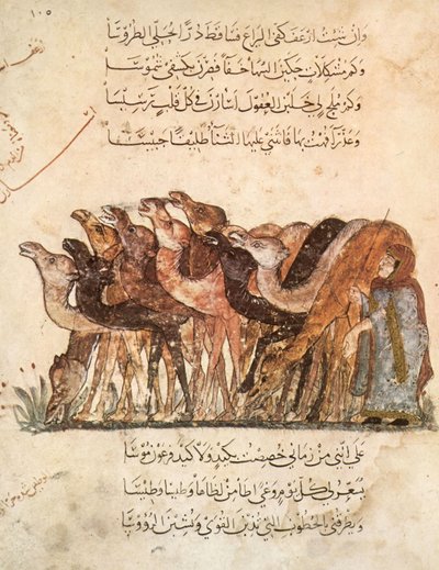 Rebaño de camellos, de Al Maqamat (Las Reuniones) por Al Hariri, c.1240 de Yahya ibn Mahmud Al Wasiti
